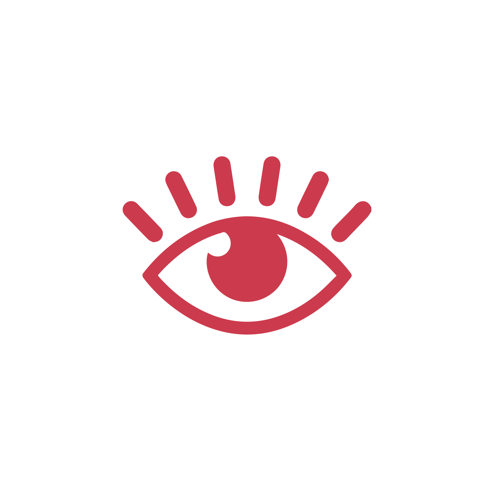 juguetes joogos pensamiento visual